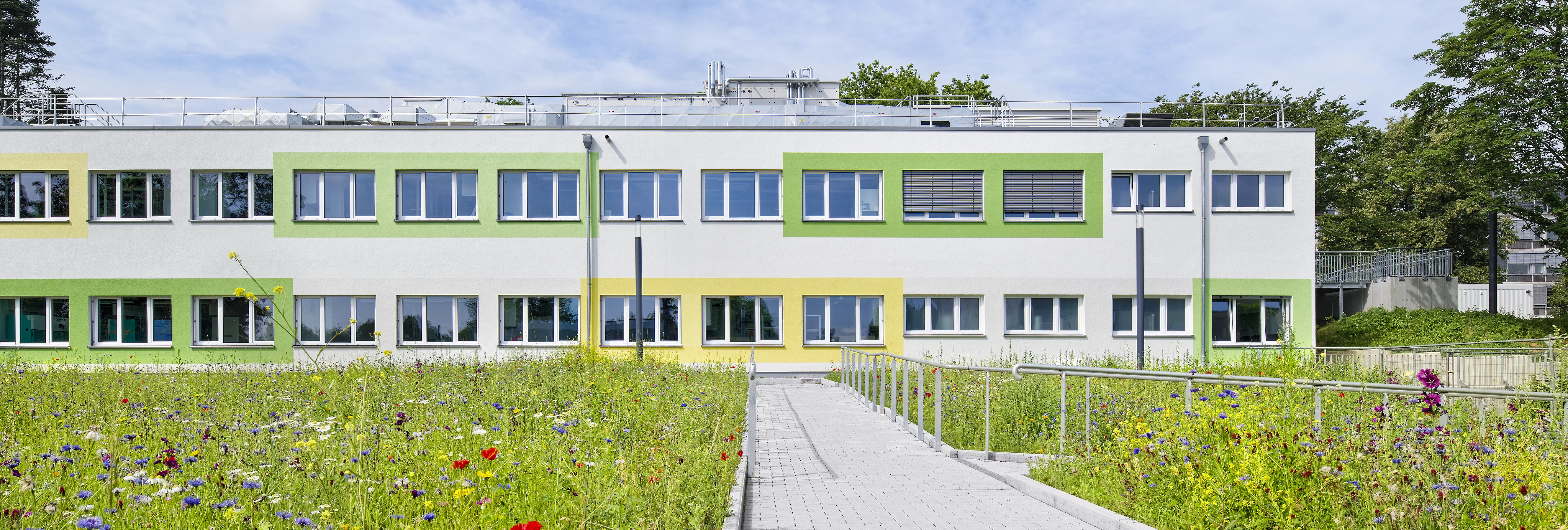 Modernes Klinikgebäude mit grünen Fensterrahmen, Dachtechnik und blühender Wildblumenwiese