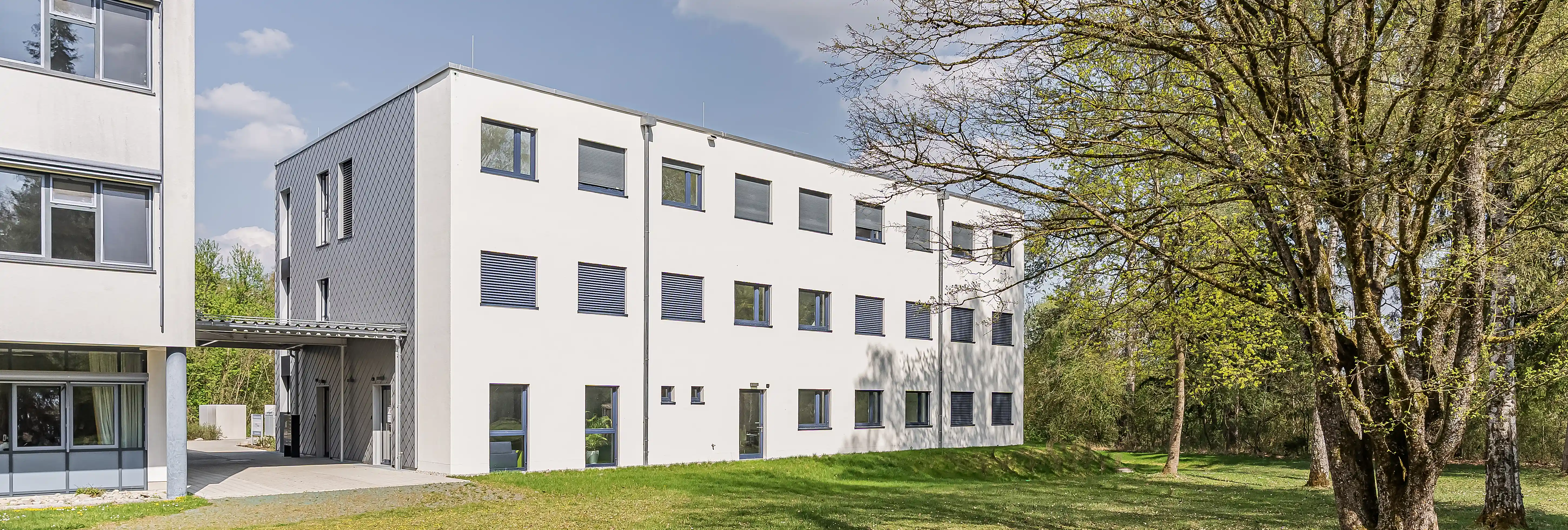 Modernes Schulgebäude mit weißer Fassade, seitlicher Metallverkleidung und Bäumen auf der Grünfläche